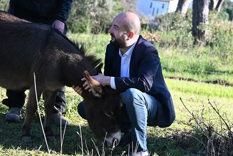 David Rachline caressant un âne